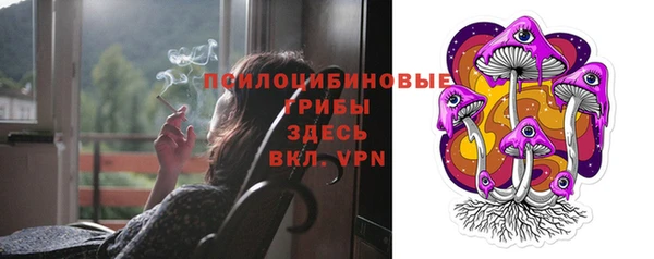 гидра Аркадак
