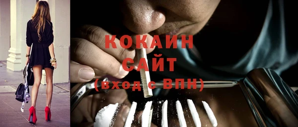 гидра Аркадак