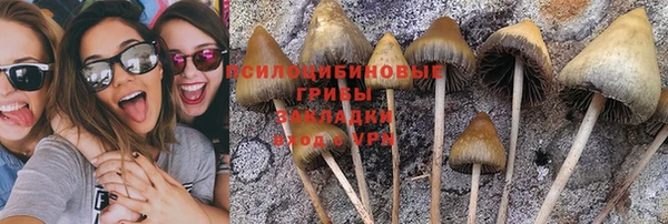 СК Протвино