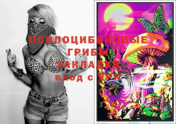 spice Приозерск