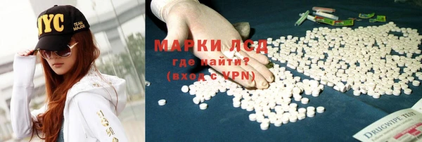 ГАЛЛЮЦИНОГЕННЫЕ ГРИБЫ Арсеньев